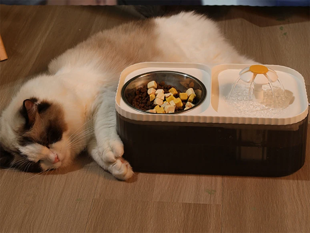 Automatyczna miska z fontanną